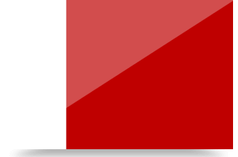 Dubai Flag